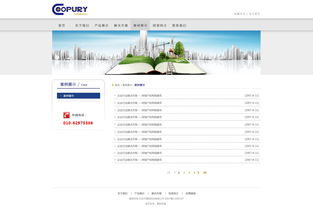 北京網(wǎng)站建設(shè) 原創(chuàng)先鋒，案例引領(lǐng)未來(lái)