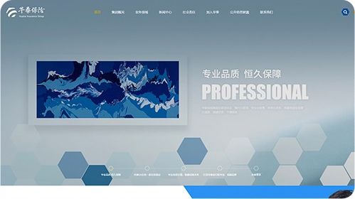 北京分形科技 引領高端網站建設，打造品牌官網上新的時代標桿
